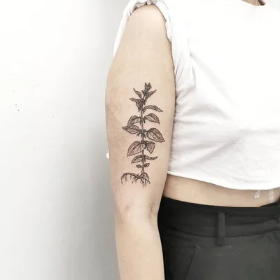 E L I A S tattoo 039
