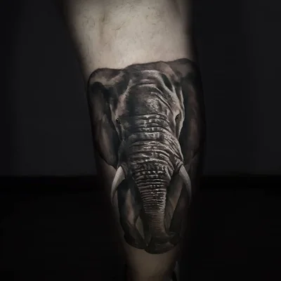 Sagas Tattoo tattoo 028