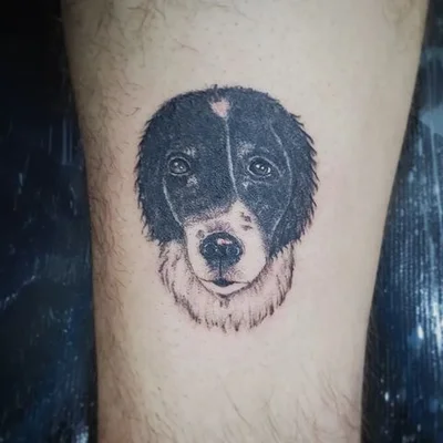 Sailor Juca tattoo 037