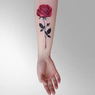 Sake Tattoo Crew tattoo 040