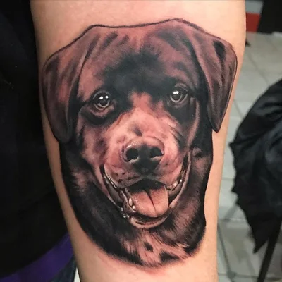 Sam Fiorino tattoo 049