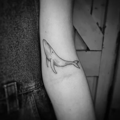 Sam Tokely tattoo 030