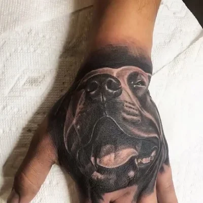 Sammy Trevino tattoo 023