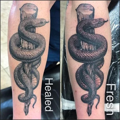 Sam Trudell tattoo 008