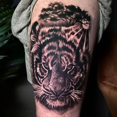 Sam Cole tattoo 021