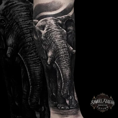 Samuel Sancho tattoo 039