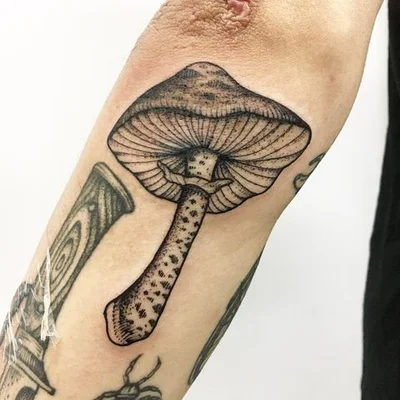 Sandra Storm tattoo 014