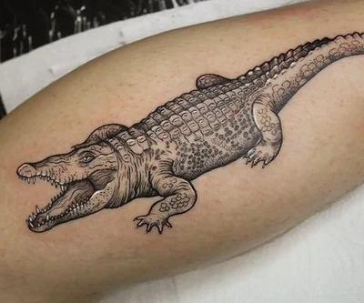 Sara Scribbles tattoo 034