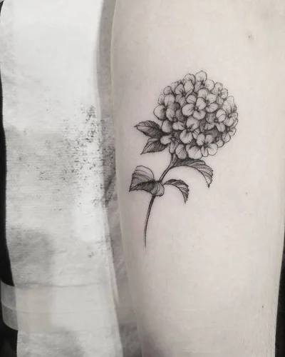 Sarah Spread tattoo 010