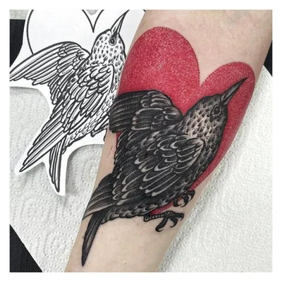 Sasha tattoo 015