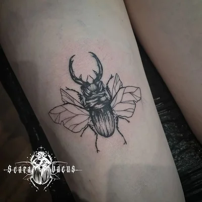 Nemeez Tattoo tattoo 034