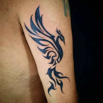 SCARAB TATTOO - SC 🇧🇷 tattoo 010