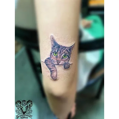 scar_eternal tattoo 043