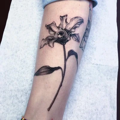 Sebastian Asher tattoo 030