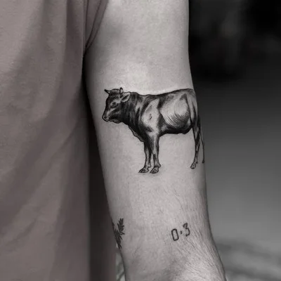 Sebastian Asher tattoo 032