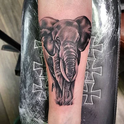 Scott Laidlaw tattoo 011