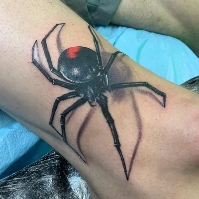 SD Tattoo tattoo 050