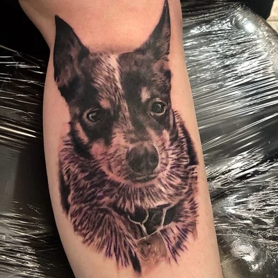 Sean Johnston tattoo 011