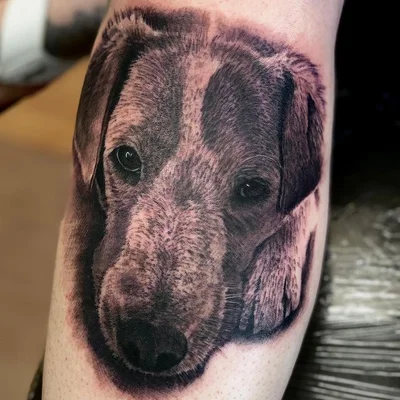 Sean Johnston tattoo 032