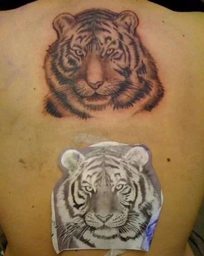 Sean Webb tattoo 028