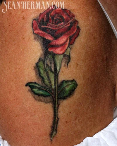 Sean Herman tattoo 023