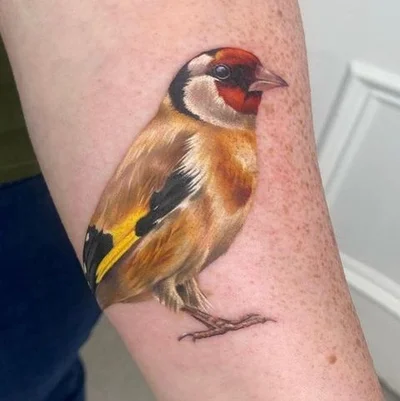 Semper Tattoo studio tattoo 041