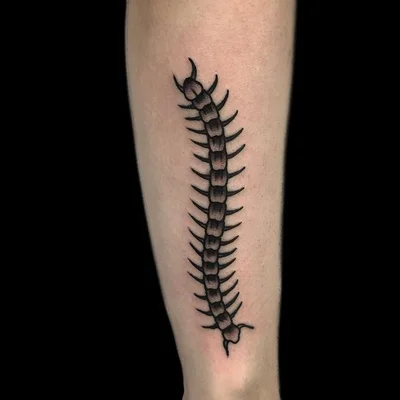 Sena Eperro tattoo 041