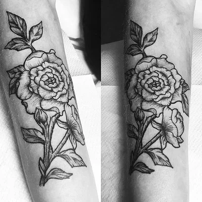 Sepul tattoo 047