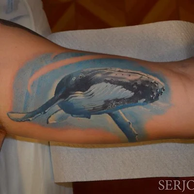 Serjo Bronfman tattoo 045