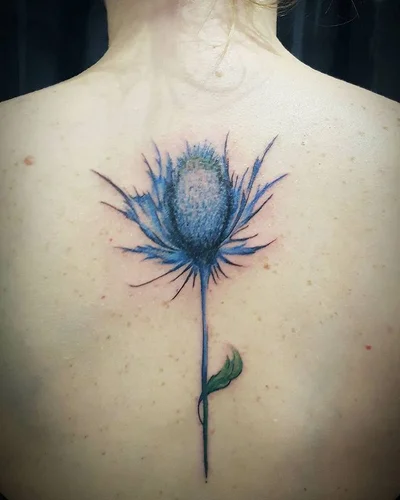 Seth Mgt tattoo 031