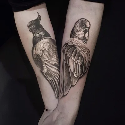 Seth Mgt tattoo 044
