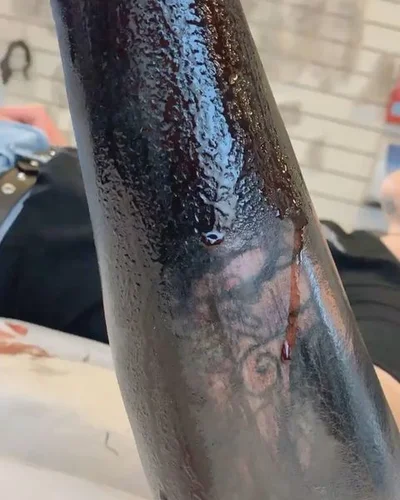 seven echek tattoo 048