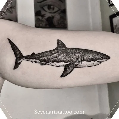 Seven Arts Tattoo tattoo 042