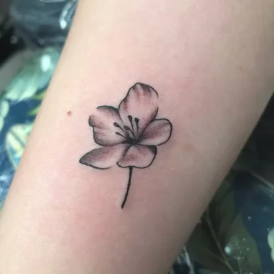 Shannon tattoo 028
