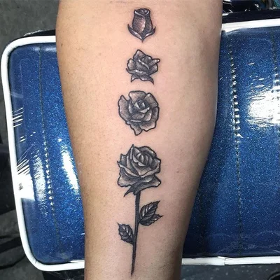 SharkTattoo Ib tattoo 023