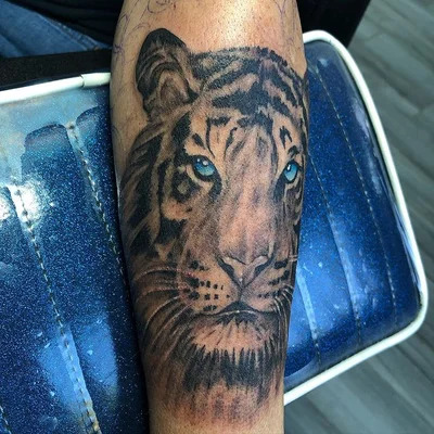 SharkTattoo Ib tattoo 033