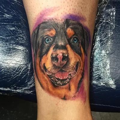 SharkTattoo Ib tattoo 042