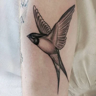 Shaun Bonanos tattoo 049
