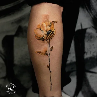 Anton Shelupaev tattoo 035