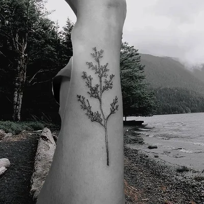 Kira Scura tattoo 017
