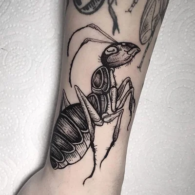 Shinda Kohi tattoo 008