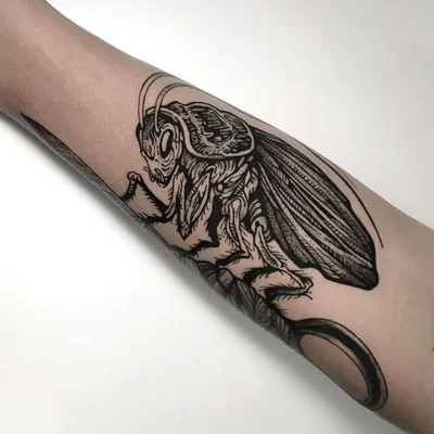 Shinda Kohi tattoo 017