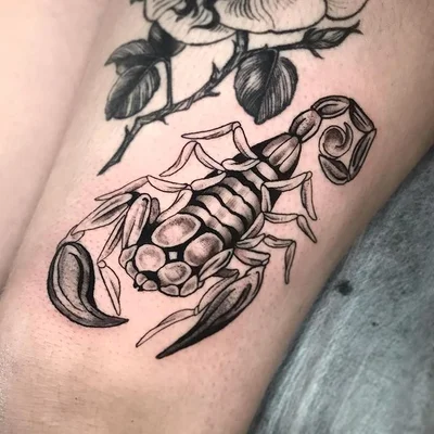 Shinda Kohi tattoo 019