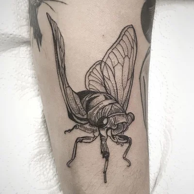 Shinda Kohi tattoo 022