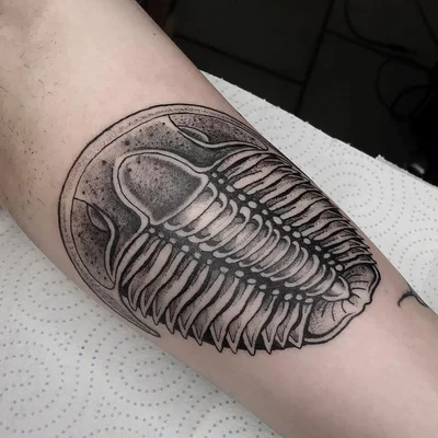 Shinda Kohi tattoo 026