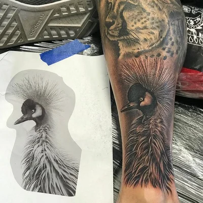 Shlomi Kastiel tattoo 046
