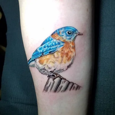 Steve Schoenfeldt tattoo 044
