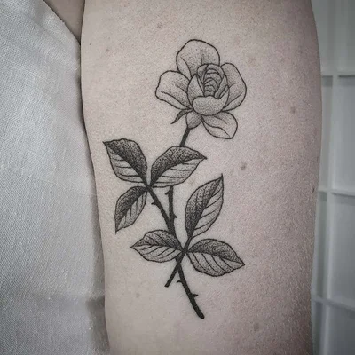 Siarn tattoo 007