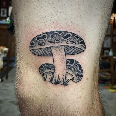 Siarn tattoo 040