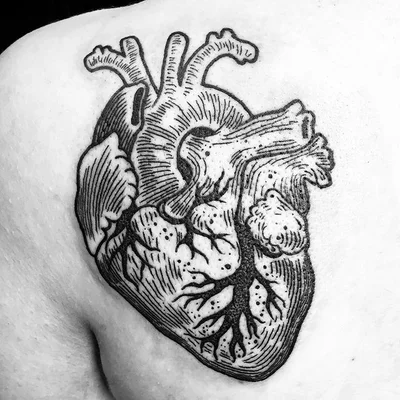 Sid tattoo 007
